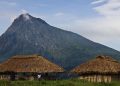 RDC : le tourisme reprend dans les Virunga après dix mois de fermeture du parc pour insécurité