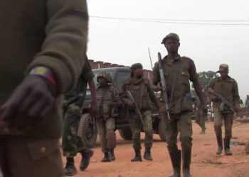 Beni-Ngite: Neutralisation dune Vingtaine des rebelles Adf dans une nouvelle incursion par les Fardc.