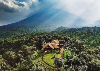Nord-Kivu : Un Eco garde assassiné à Ngwenda