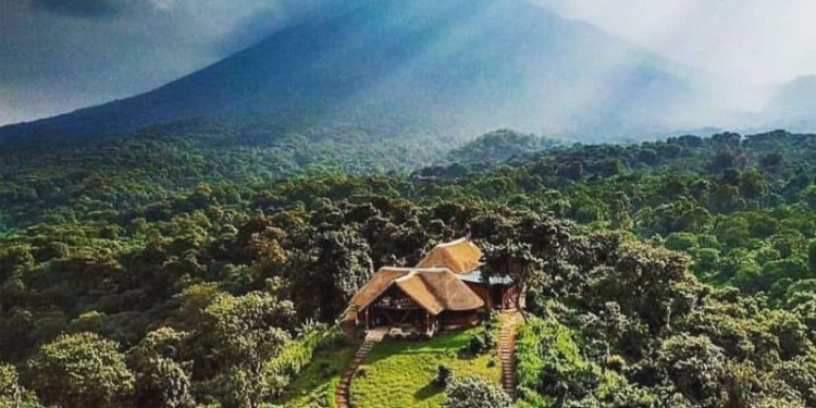 Nord-Kivu : Un Eco garde assassiné à Ngwenda