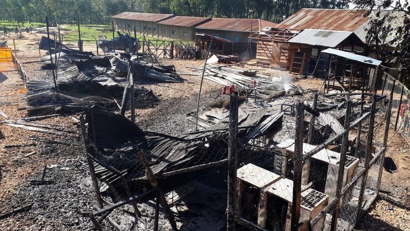 RDC : entre 10 et 21 civils tués par des milices ADF à Beni (sources sécuritaires et civiles) RDC : entre 10 et 21 civils tués par des milices ADF à Beni (sources sécuritaires et civiles)