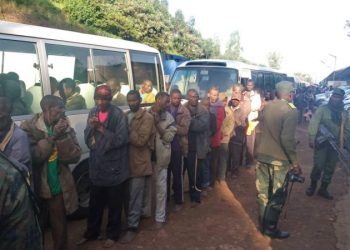 Est de la RDC : près de 300 rebelles hutus rwandais rapatriés au Rwanda Est de la RDC : près de 300 rebelles hutus rwandais rapatriés au Rwanda