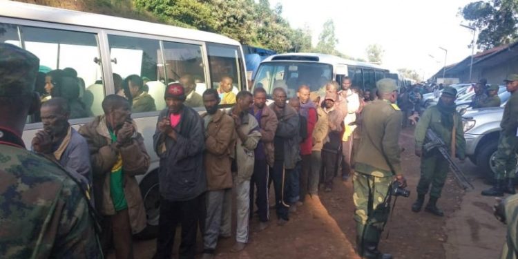 Est de la RDC : près de 300 rebelles hutus rwandais rapatriés au Rwanda Est de la RDC : près de 300 rebelles hutus rwandais rapatriés au Rwanda