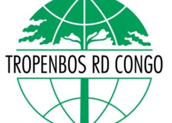 Ituri : L’ONG Tropenbos RDC lance la campagne pour la promotion de la consommation du bois légal dans les travaux publics.