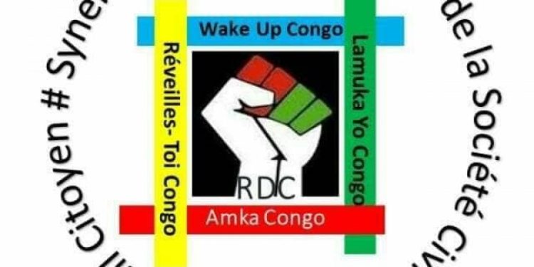 RDC-Cacophonie politique  : Seul le peuple dispose de la souveraineté et peut dissoudre l’Assemblée Nationale (Amka Congo).
