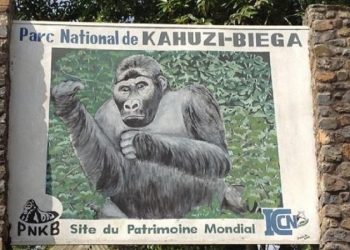 RDC : quatre miliciens tués dans le Parc national