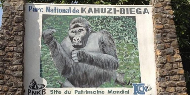 RDC : quatre miliciens tués dans le Parc national