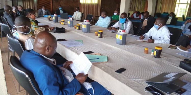 Journée de l’Abeille : Monde d’Abeilles lance la campagne d’identification et d’encadrement des apiculteurs au Sud-Kivu.