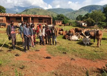 Sud-Kivu : L’armée ne dénonce pas, elle doit neutraliser les groupes armés et imposer la paix, Enock Sebineza sur la situation de Minembwe.
