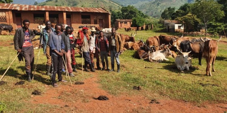 Sud-Kivu : L’armée ne dénonce pas, elle doit neutraliser les groupes armés et imposer la paix, Enock Sebineza sur la situation de Minembwe.