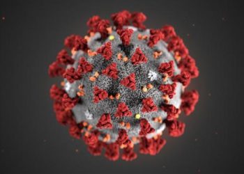 Coronavirus dans le Haut-Katanga : pas de cas confirmés depuis deux semaines