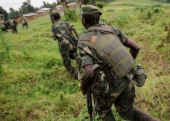 Ituri : la région de Ngongo se réveille sous le coup d’armes lourdes et légère