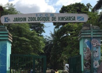 Le jardin zoologique de Kinshasa en quête de jouvence
