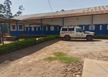*Djungu : une nouvelle attaque des CODECO fait 2 morts, 1 blessé et des kidnappés près de Drodro* 