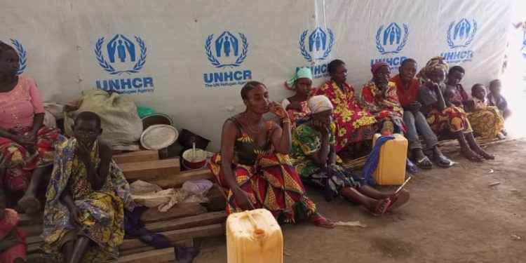 Ituri : des décès liés à la malnutrition au site des déplacés de Tsere (Zamundu Batagura)