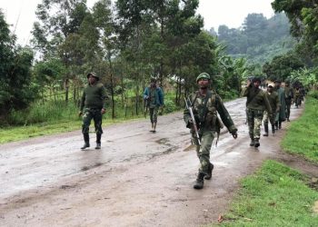 Nord-Kivu : Le M23 accusé d’attaquer délibérément les positions FARDC à Rutshuru