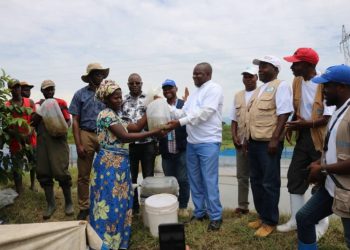 Sud-Kivu : PICAGL distribue 100.000 alevins aux associations des pisciculteurs de la plaine de la Ruzizi