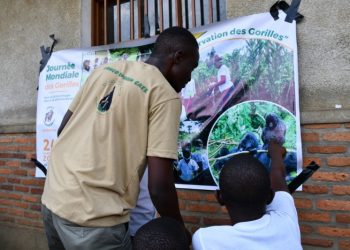 RDC: Alain Mukiranya, un modèle dans la protection de la biodiversité (Portrait)