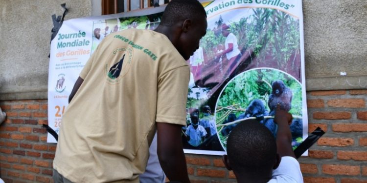 RDC: Alain Mukiranya, un modèle dans la protection de la biodiversité (Portrait)