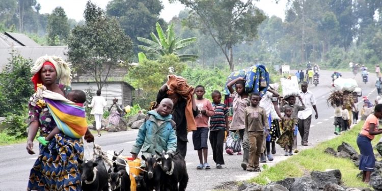 RDC : après la chute de Kiwanja et Rutshuru centre, les rebelles se dirigent vers Goma
