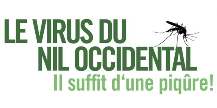 Le virus du Nil occidental fait son apparition au Manitoba : Précautions à prendre pour éviter les piqûres de moustiques