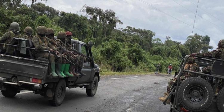 Le M23 s’empare de Kashuga et Misinga dans le territoire de Masisi Le M23 s’empare de Kashuga et Misinga dans le territoire de Masisi