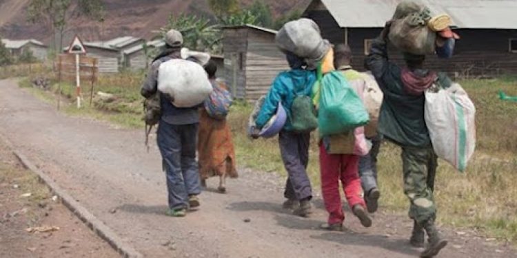 RDC : Le calvaire des déplacés : des kilomètres de marche sans eau ni nourriture après les combats entre FARDC et M23