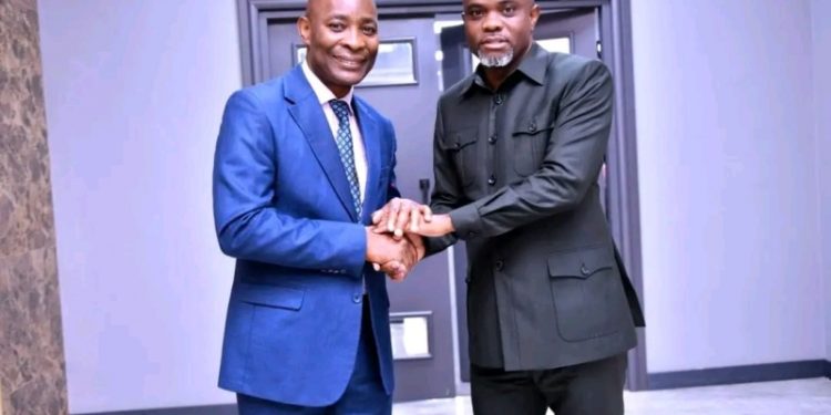 Sud-Kivu : UDPS-AFDC, une alliance impossible