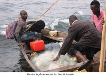 Bukavu : Linsécurité grandissante entraine une baisse de production halieutique sur le Lac-Kivu.