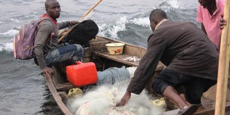 Bukavu : Linsécurité grandissante entraine une baisse de production halieutique sur le Lac-Kivu.