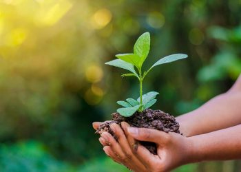 Journée mondiale de lenvironnement : WYC plaide pour l’inclusion des femmes et jeunes dans les politiques environnementales
