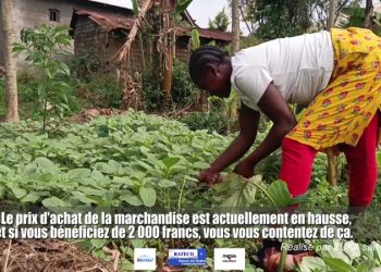 Sud-Kivu : le courage silencieux des femmes de Nyangézi face à la crise.
