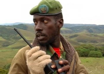 RDC : un nouveau narratif sécuritaire attribué à Kigali pour justifier la présence de ses troupes dans les hauts plateaux