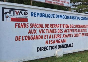 RDC : enquête ouverte sur un présumé détournement de 3,3 millions USD à lICCN