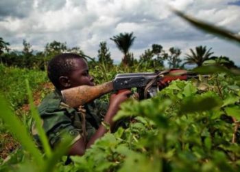RDC : 4 millions de dollars par mois pour les Wazalendo, tandis quun rapport parlementaire alerte sur une armée en crise