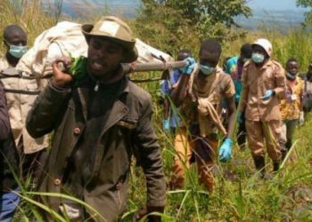 Djugu : au moins 19 civils tués dans des attaques à Pimbo et Mambisa